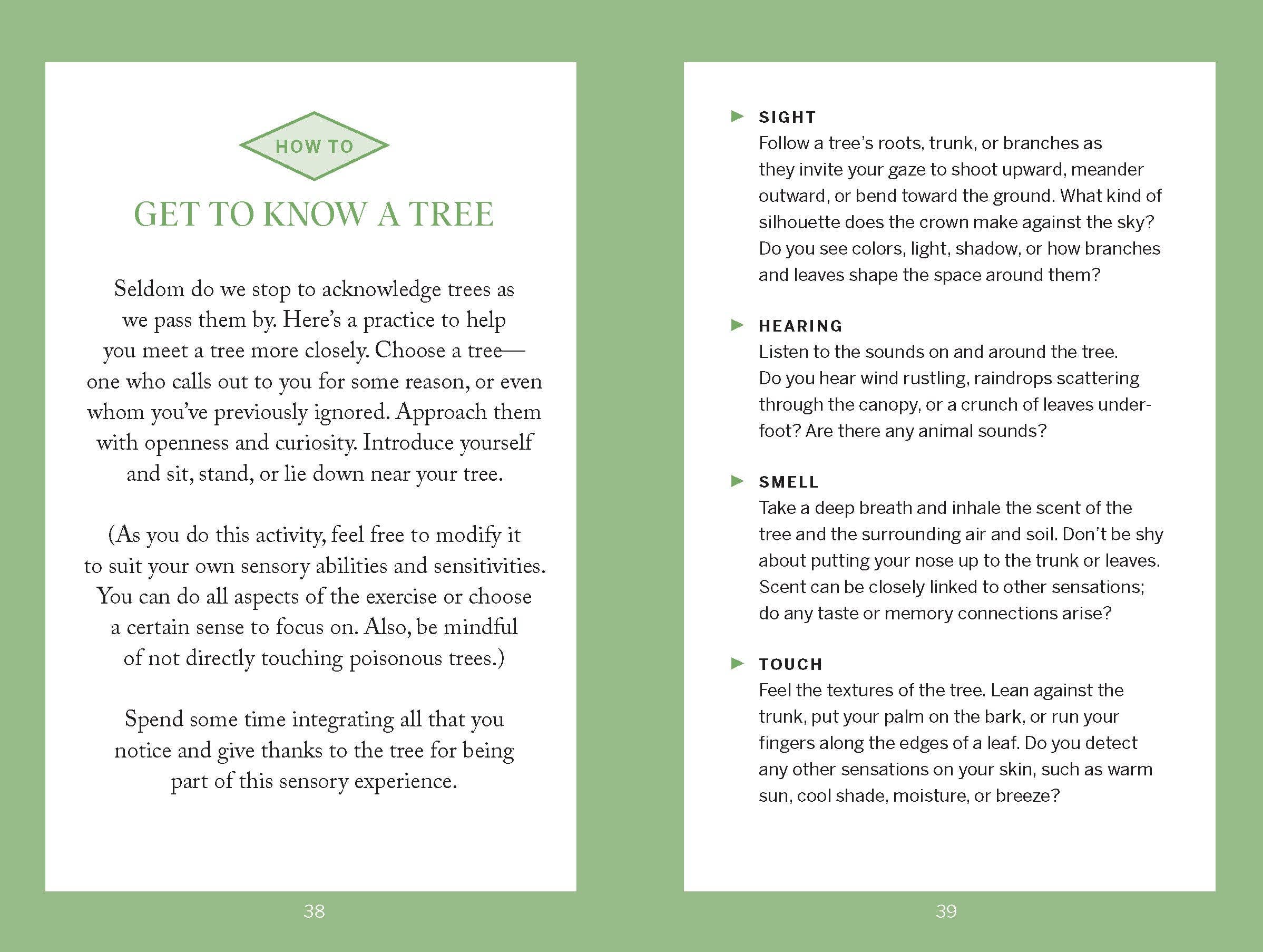 Pocket Nature: Tree Hugging