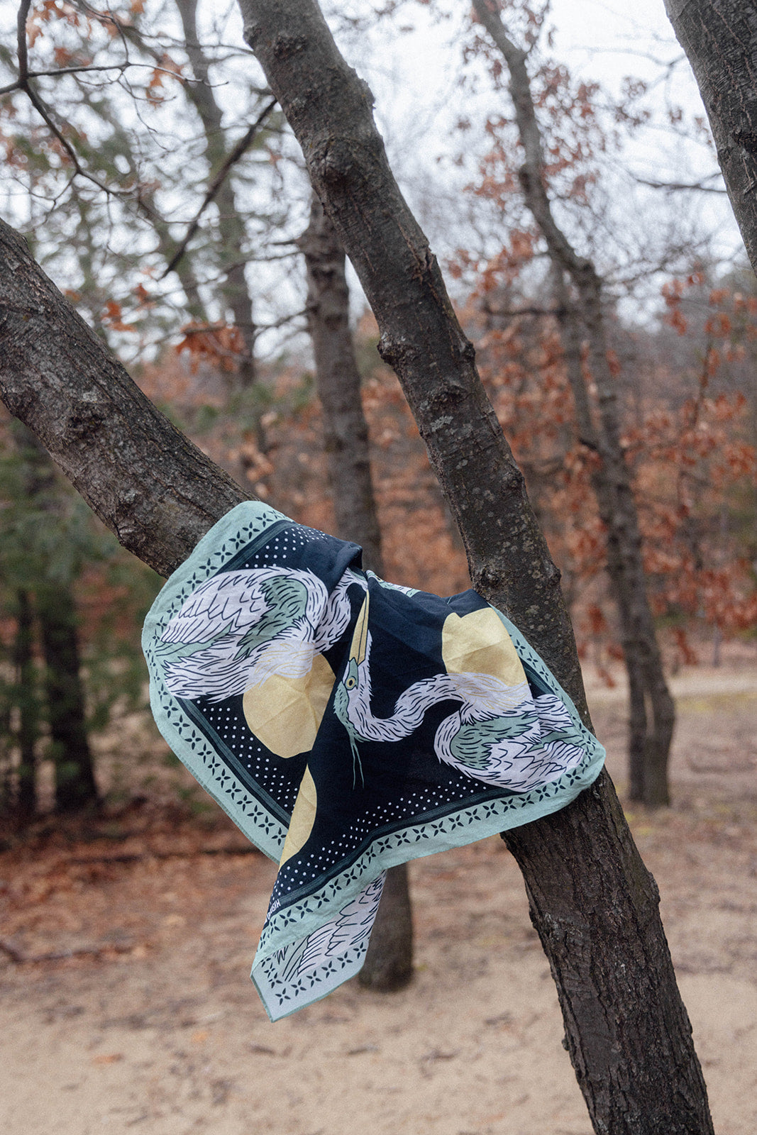 Heron Bandana
