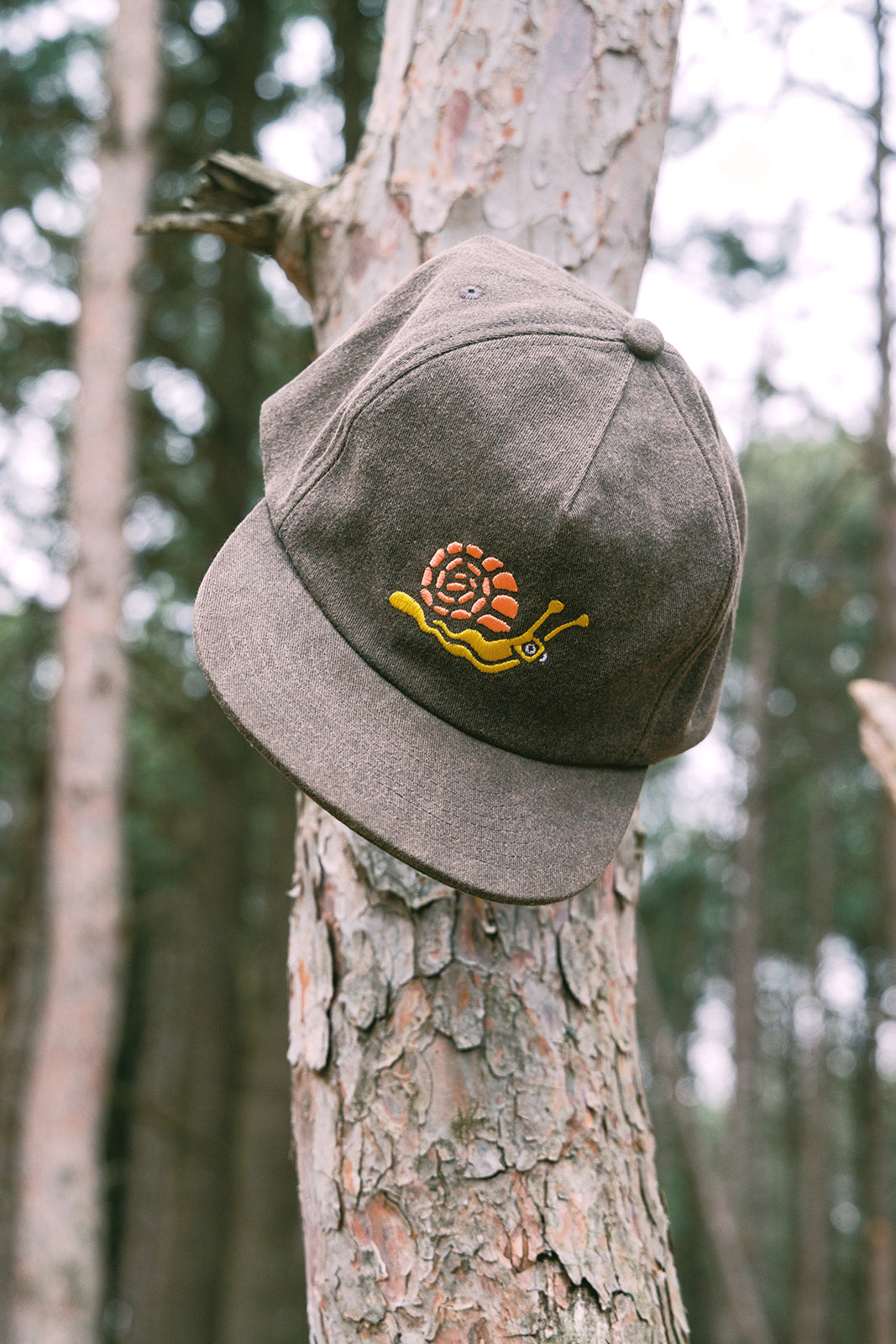 Snail Dad Hat