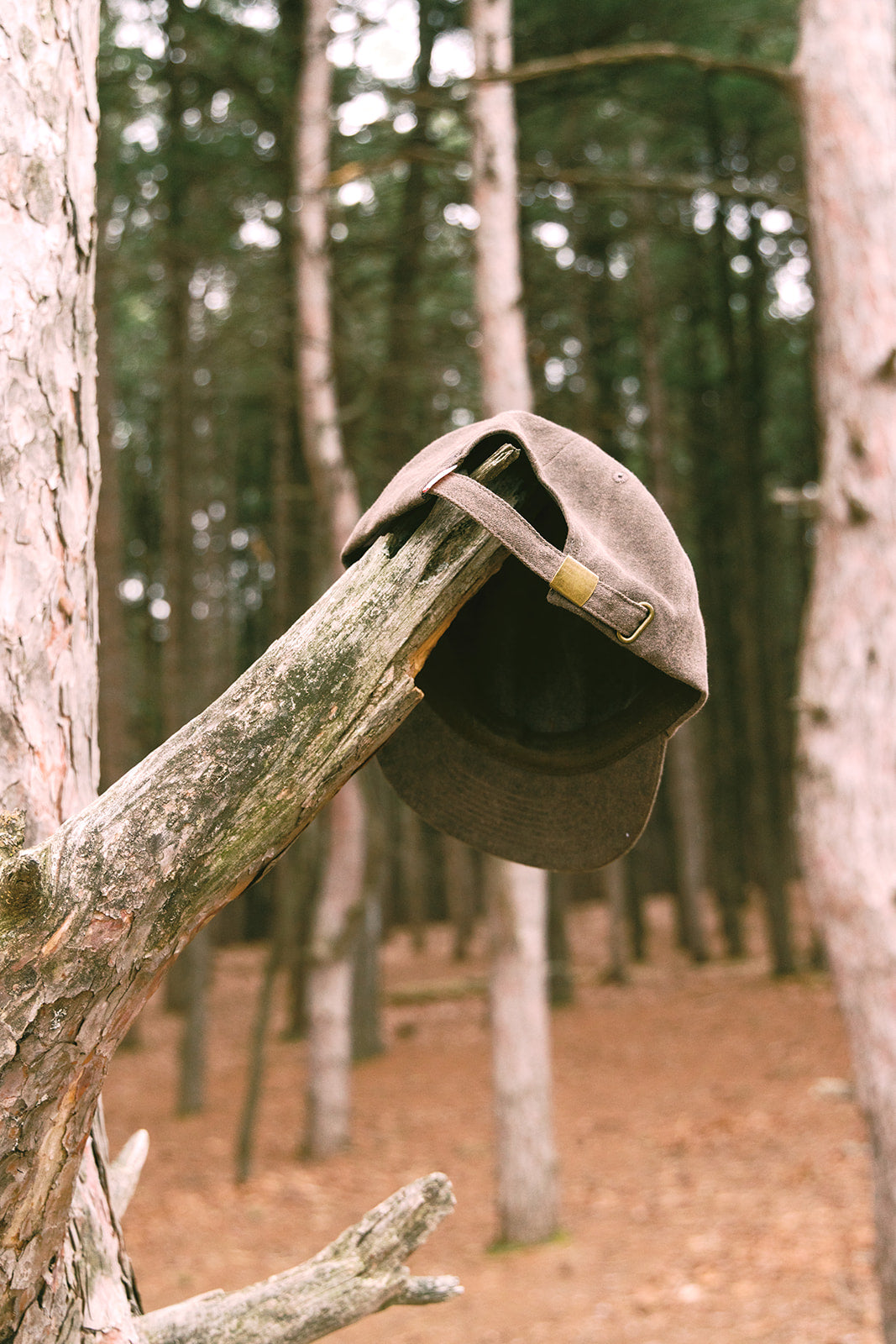 Snail Dad Hat