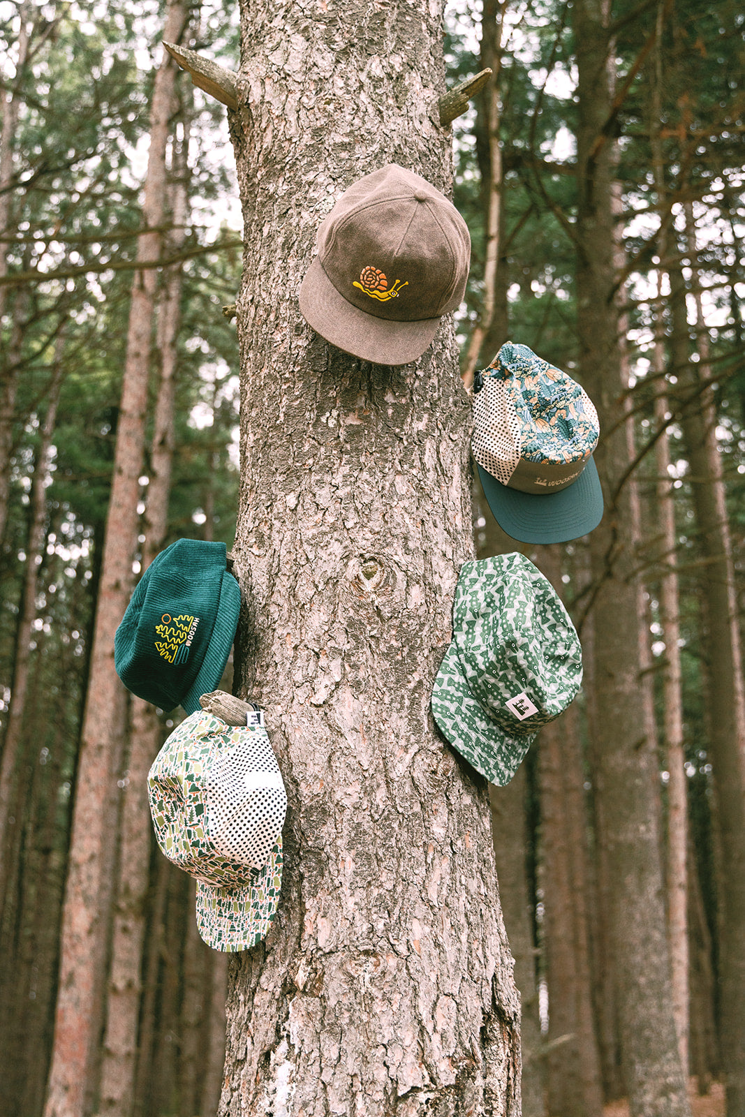 Brook Hat