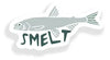 Smelt Sticker